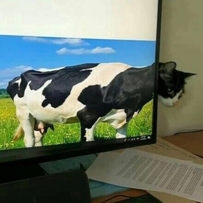 И фотошоп не нужен
