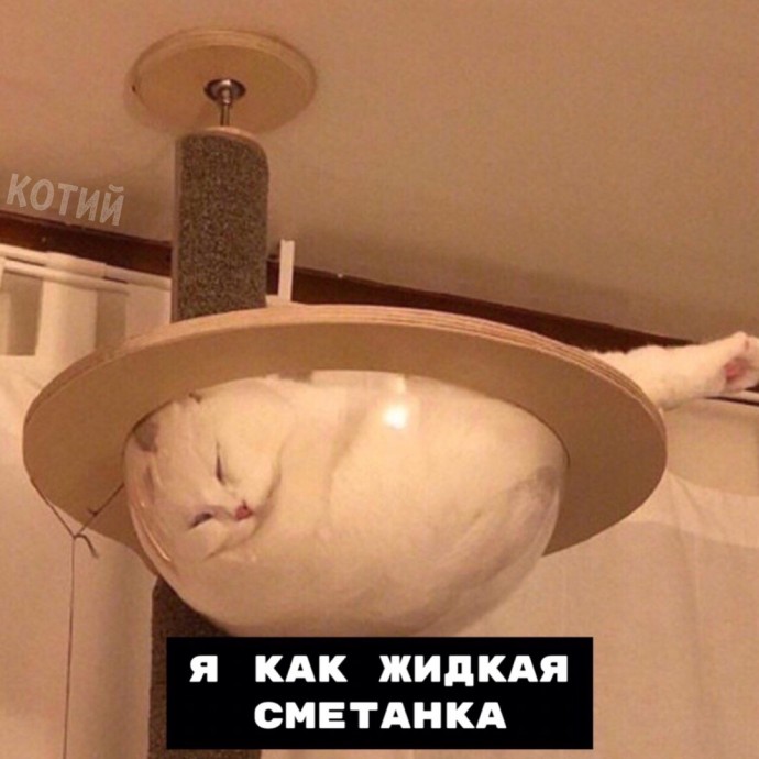 Коротко о выходных