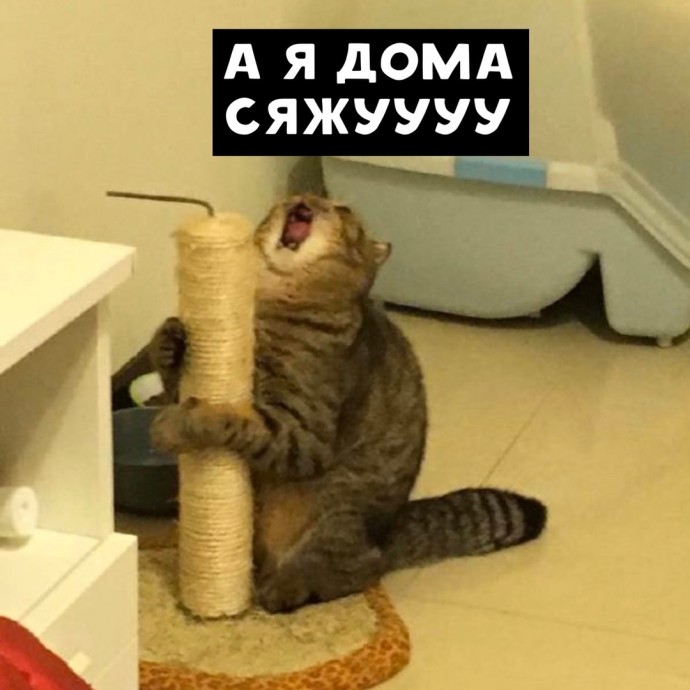 Это и правда АААААА