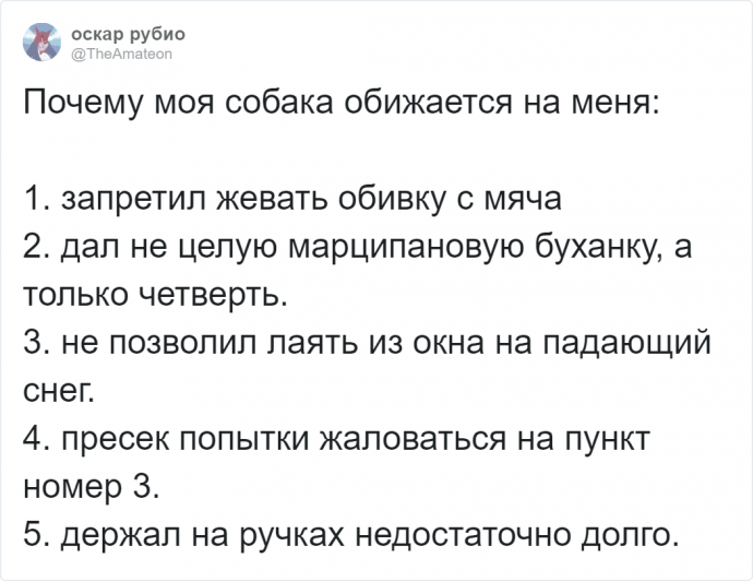 Странности, которые люди запретили собакам, а те обиделись