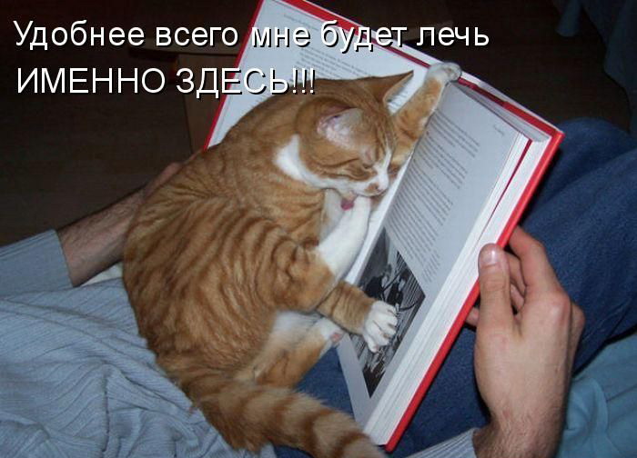 ����������� ��� 5