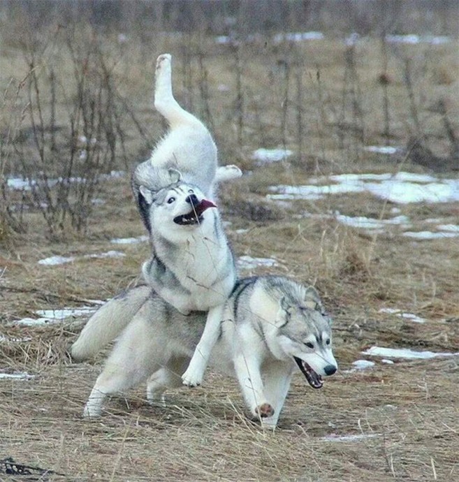 У каждого есть такой друг