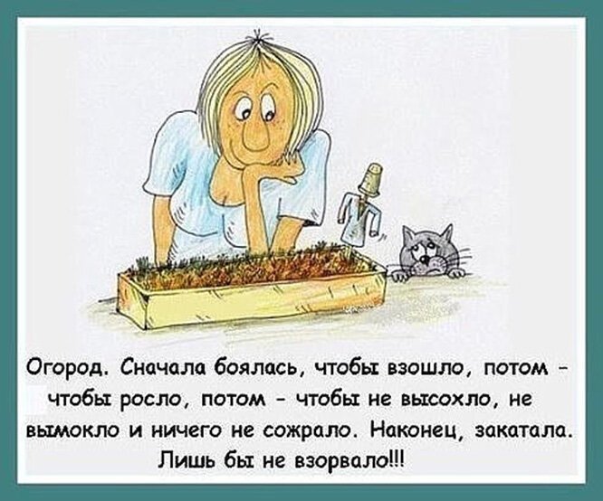 Смешные картинки с надписями про дачу огород