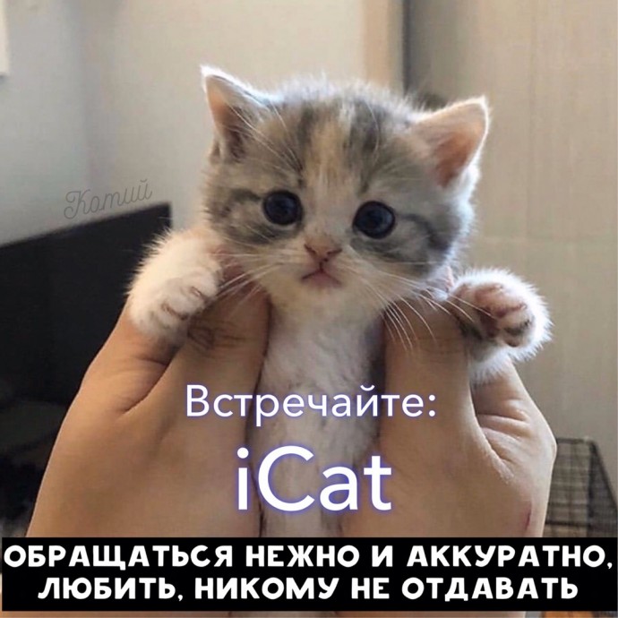 Если бы котики были из мира технологий