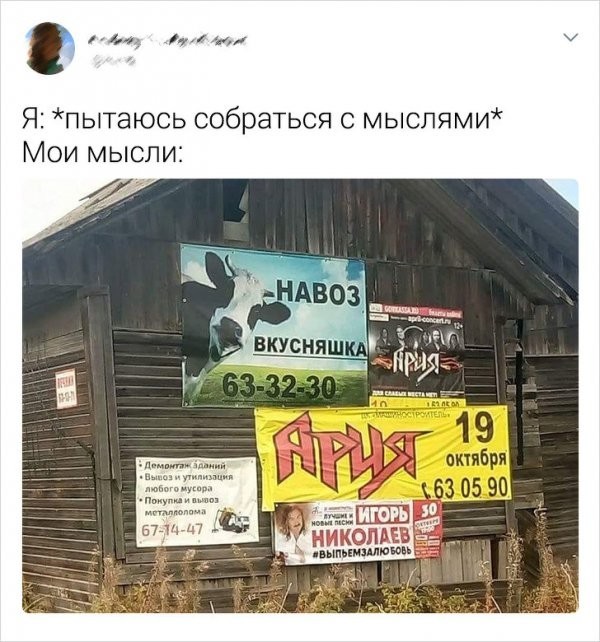 Подборка забавных твитов