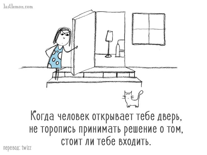 Уморительные советы, которые расскажут вам, как стать продвинутым котом