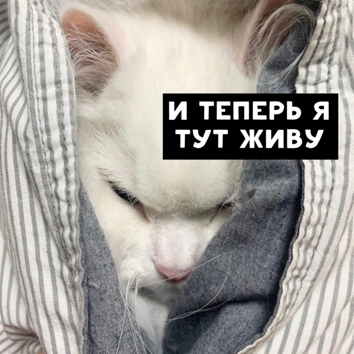 Я тоже хочу себе такое королевство!