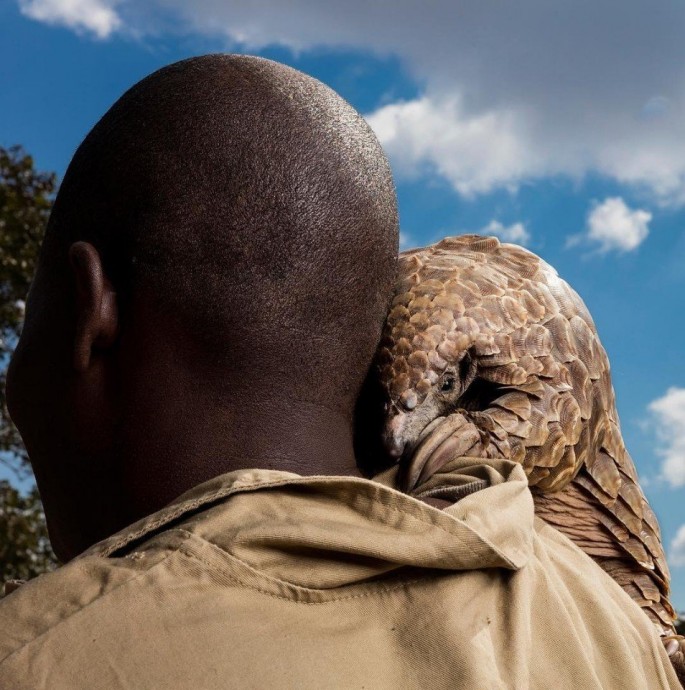 National Geographic выбрал лучшие фото в Instagram в этом году