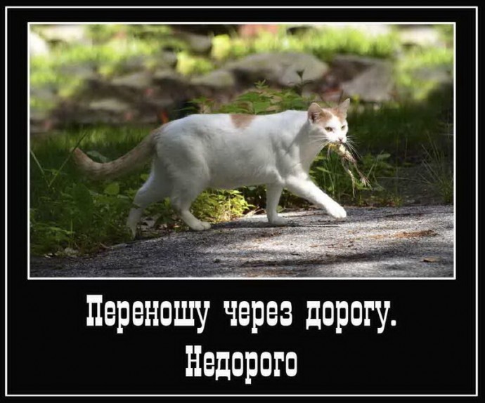 Юморотерапия