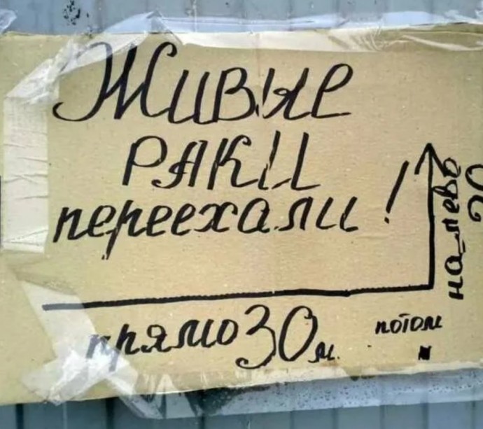 Рынки всегда радовали нас своим креативным подходом к продаже.