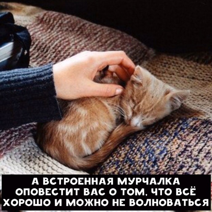 Если бы котики были из мира технологий