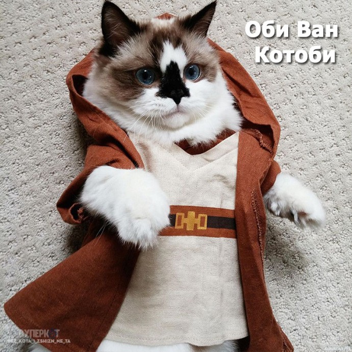 Котплей "Звездные войны"