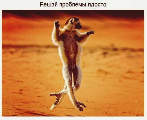Мудрые советы от лемуров.