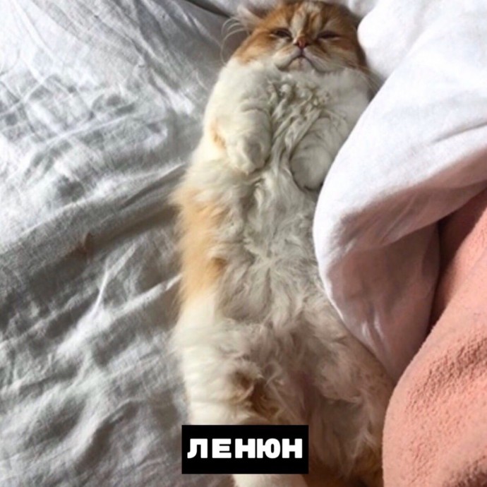 Тотемные животные