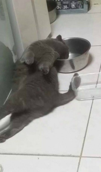 Мой уровень лени