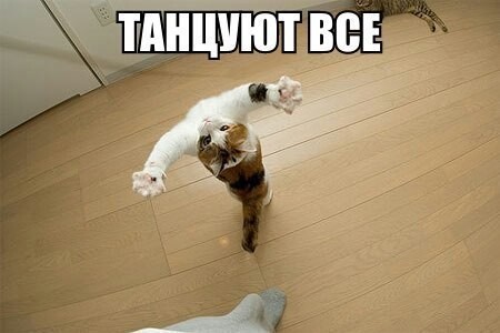 Танцуют все