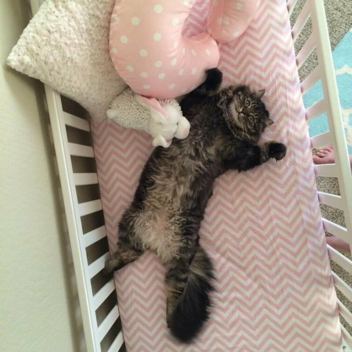 Чудоковатые)