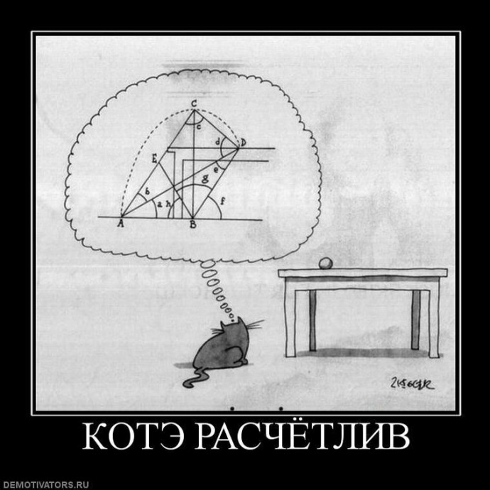 Образ Котэ в демотиваторах