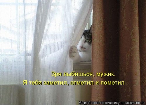 Котоматрица