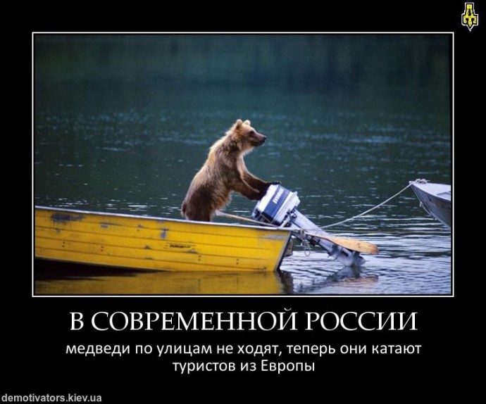 Медведи очень смешные, когда ты находишься на безопасном расстоянии от них) Медведи очень смешные, когда ты находишься на безопасном расстоянии от них)