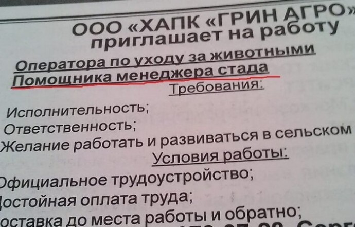 В поисках работы? Тогда ловите подборку крутых вакансий