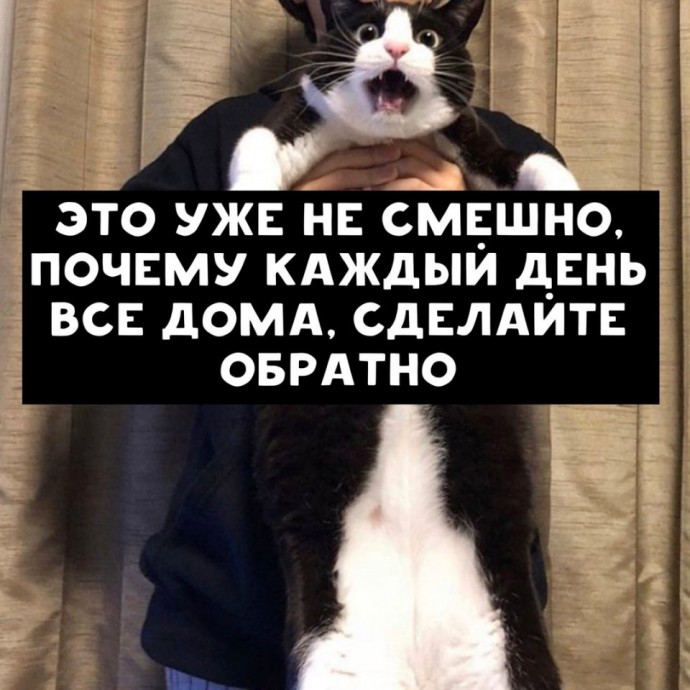 Когда вы уже уйдете на работу