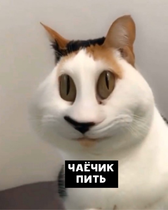 Мысли, которые греют душу