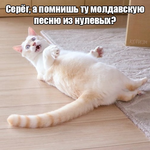 У всех есть тот самый друг, который