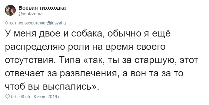 Что говорят своим питомцам перед уходом из дома