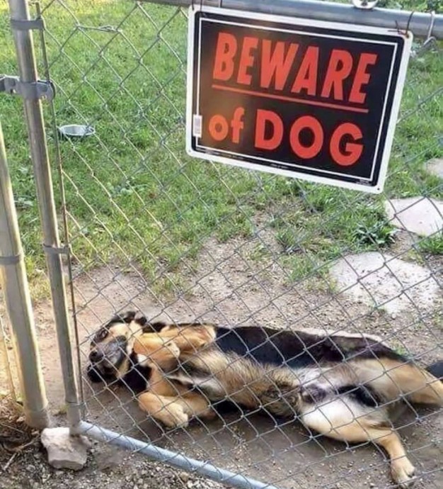 «Осторожно, злая собака»!