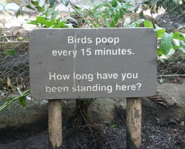 Смешные таблички из зоопарков