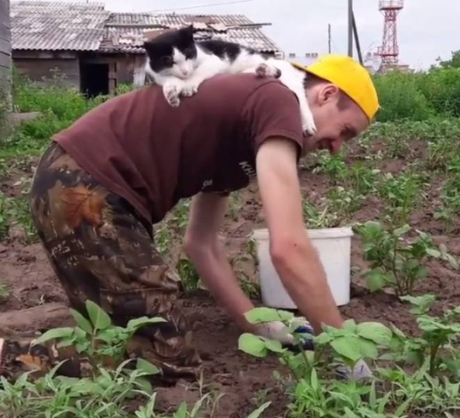 Как разнообразно и нескучно проводят своё время существа, у которых лапки.