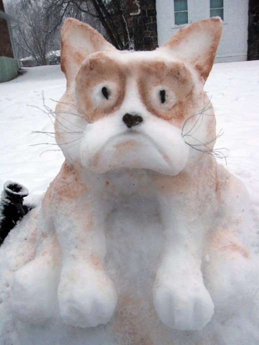 Зимой можно лепить не только снеговиков, а котовиков