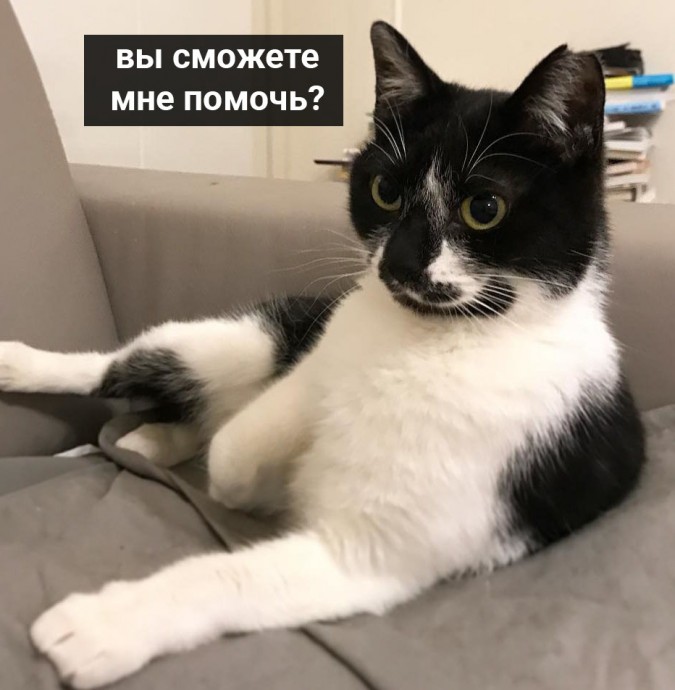 На приёме доктора Котовского