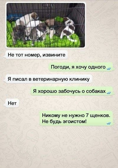 Hемного номером ошибся