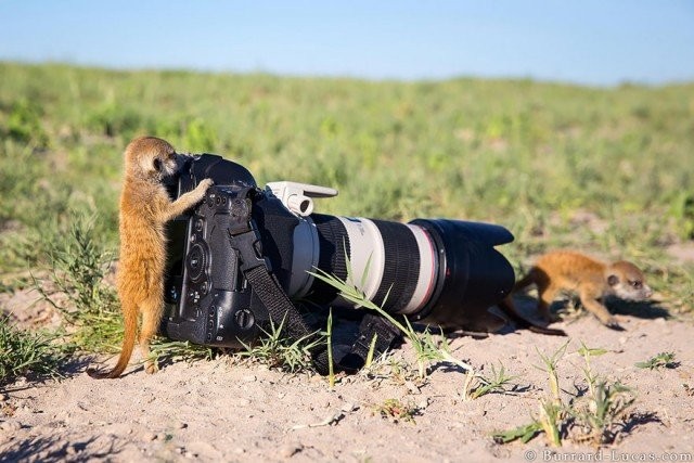 А меня сфоткаешь?