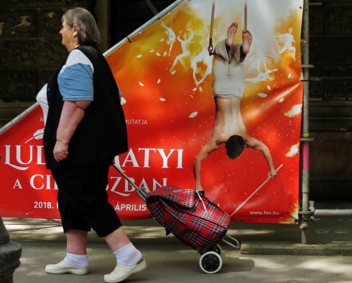 Фотограф подоспел в нужном месте и в нужное время