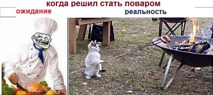 Котопост