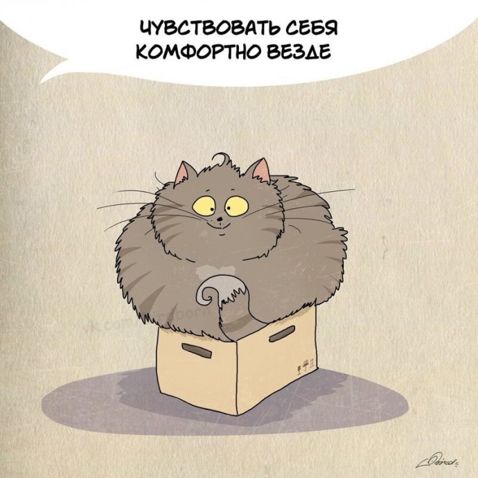 Предлагаем встать на путь само-кото-совершенствования
