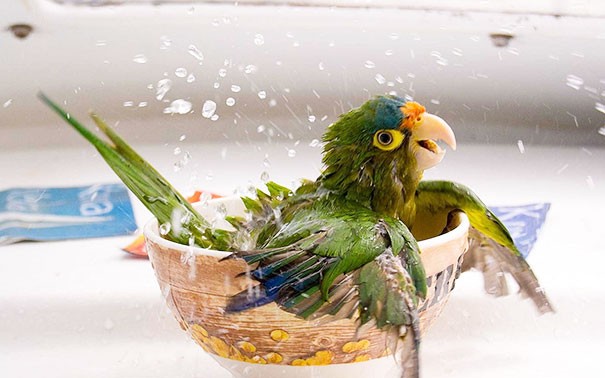 Когда очень любишь подолгу принимать ванну!