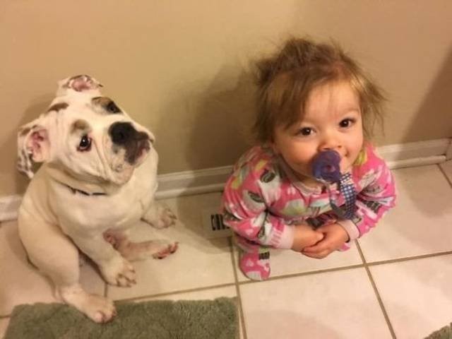 Дети и собаки — лучшие друзья