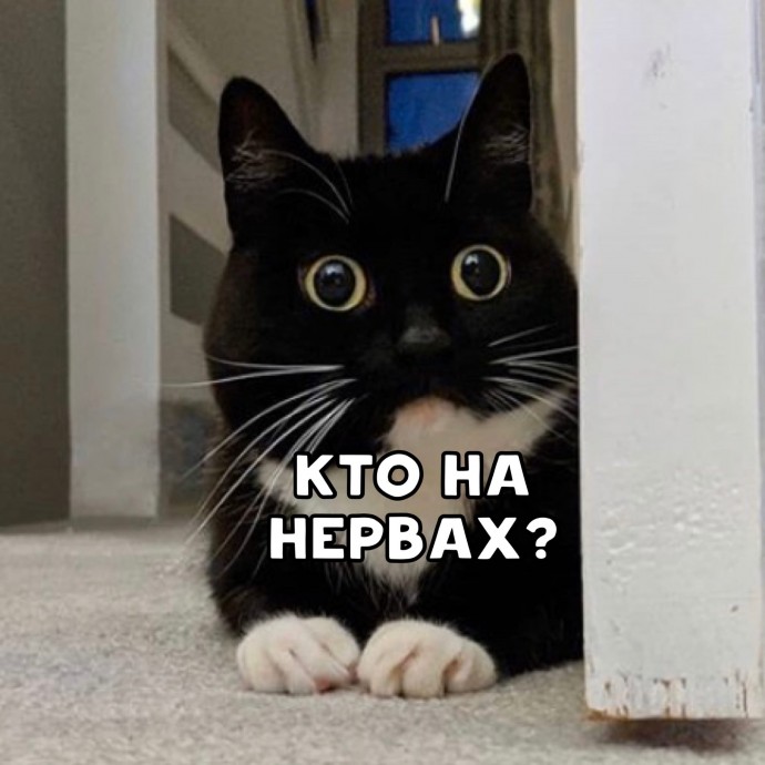 Коротко о нервах