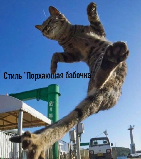 Коты ниндзя и их стили борьбы