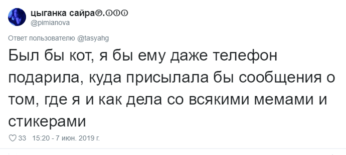 Что говорят своим питомцам перед уходом из дома