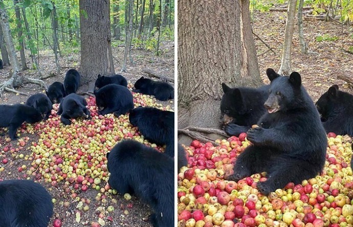 Жизнь удалась