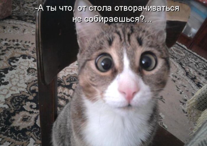 ����������� ��� 0