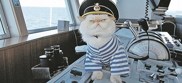 Про кота Матвея Про кота Матвея
