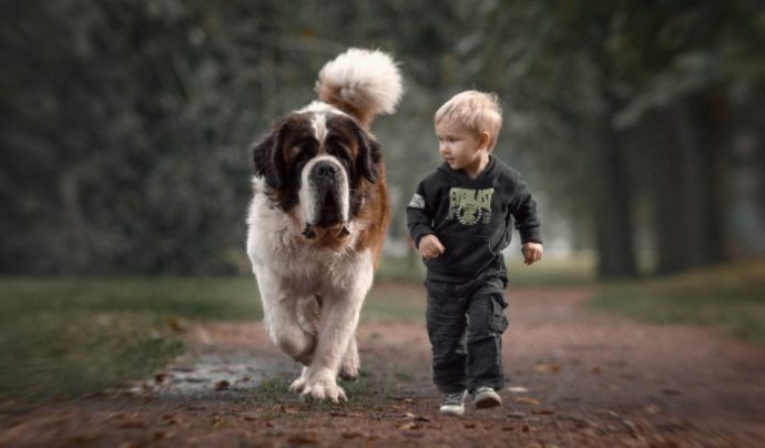 Собака — лучший друг ребенка