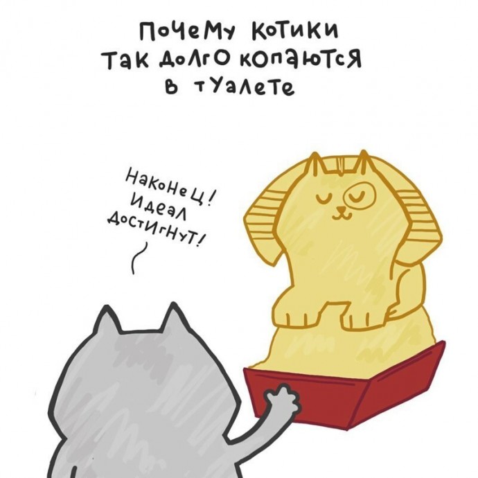 Жизнь с кошкой — это вам не хухры-мухры!