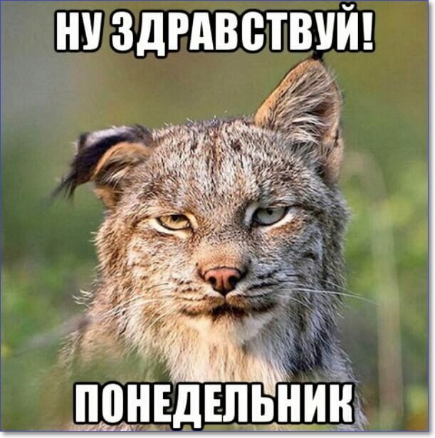 Меткие фразы на все случаи жизни 0 Меткие фразы на все случаи жизни 0